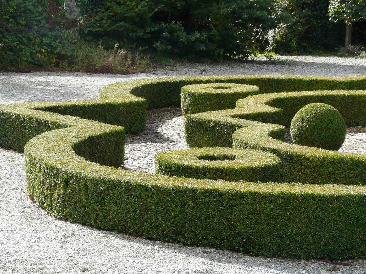Hotel Manoir De Kerledan Carhaix-Plouguer Exteriér fotografie